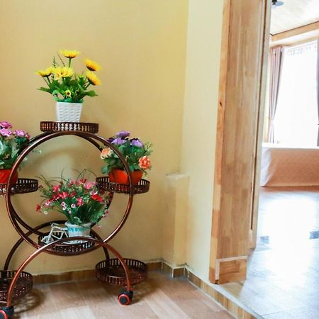 Cat Ba Vintage Homestay Cat Ba Island Luaran gambar