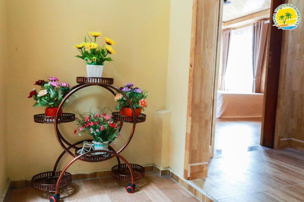 Cat Ba Vintage Homestay Cat Ba Island Luaran gambar