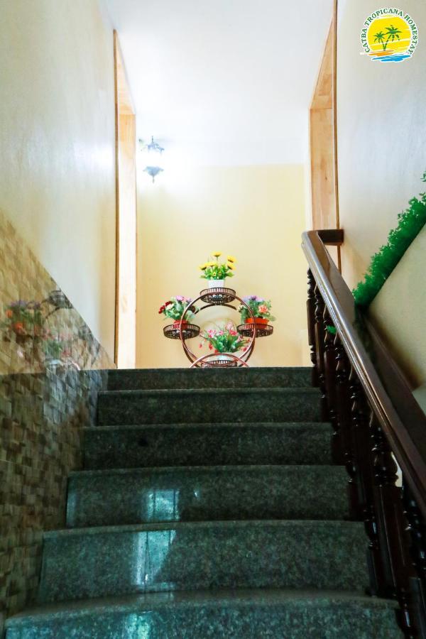 Cat Ba Vintage Homestay Cat Ba Island Luaran gambar